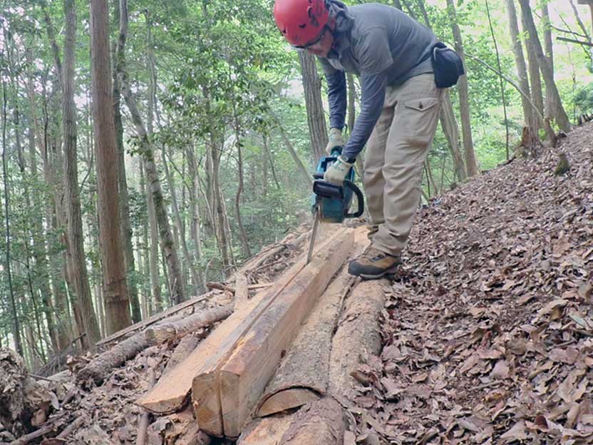 フリーハンド製材